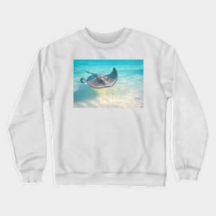 A Stingray Swimming Crewneck Sweatshirt